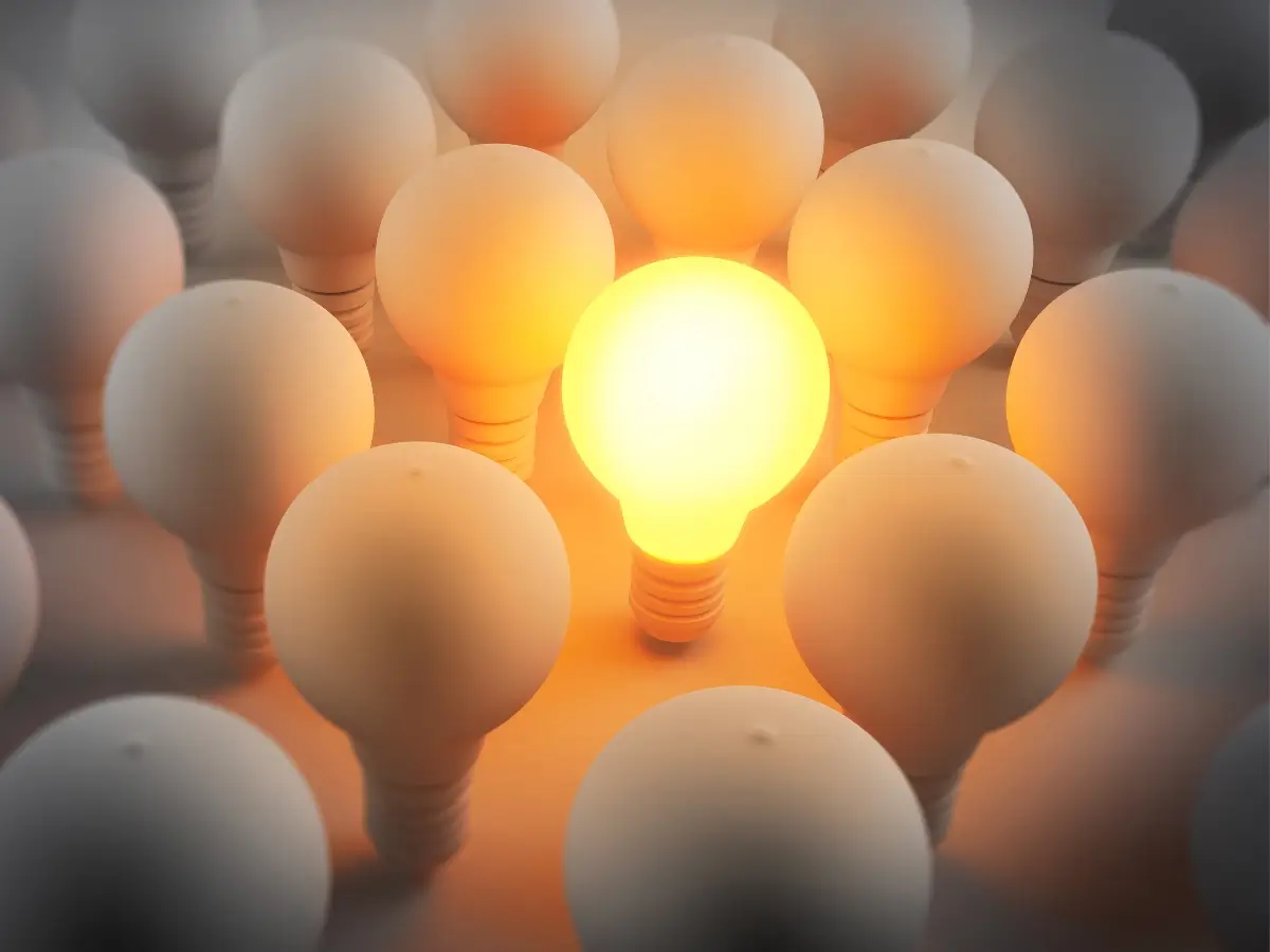 Understanding Emotional Intelligence